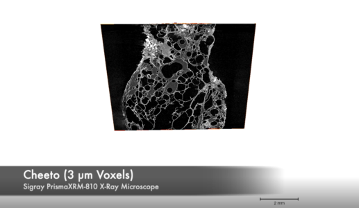 Cheeto Pore and Oil at 3um - PrismaXRM Cheeto Pore and Oil at 3um